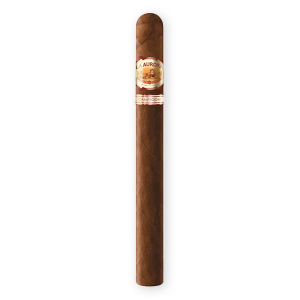 LA AURORA 1903 Zigarren Cameroon Churchill